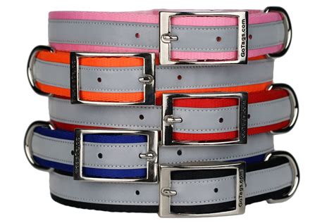 Reflective Dog Collars | Metal Buckle Dog Collars – GoTags