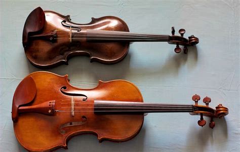 The Violin vs. the Viola » All Shore Orchestra