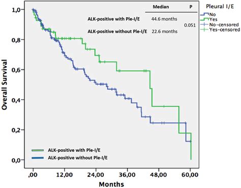 Comparison of OS between ALK-positive patients with Ple-I/E and... | Download Scientific Diagram