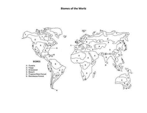 World Biome Map Coloring Worksheet