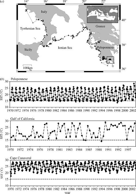 ( a ) Migration route of a subadult loggerhead turtle ( X represents... | Download Scientific ...