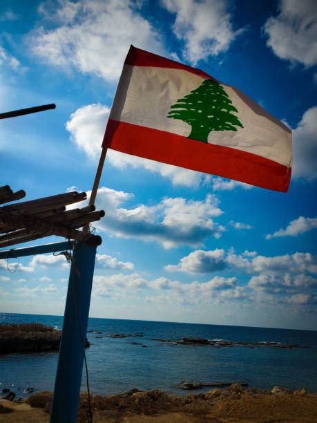 Lebanon Flag Color Image National Flag Stock Photos, Pictures & Royalty ...