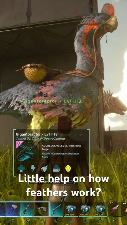 Ark Ascended: Gigantoraptor feathers - YouTube