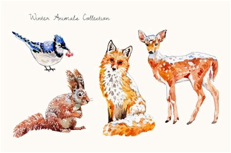 Premium Vector | Watercolor cute winter animals collection