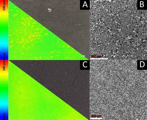 Laser scanning microscopy pictures (A, C) and SEM pictures (B, D) of ...