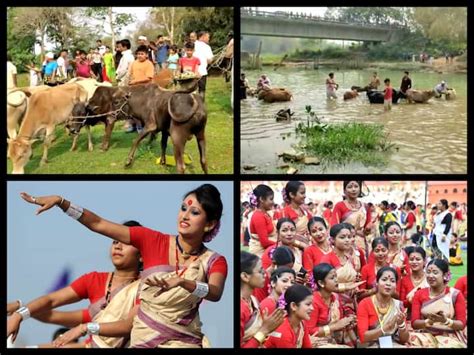 Assam’s Biggest Festival Rongali Bihu Begins With ‘Goru Bihu’