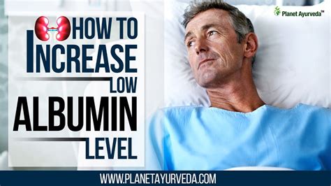 How To Improve Albumin Levels - Plantforce21