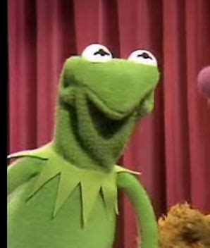 Kermit The Frog Angry