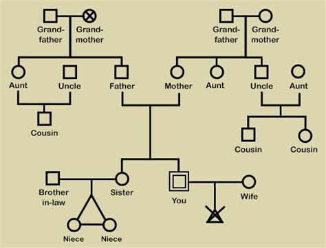 Simple Genogram Example