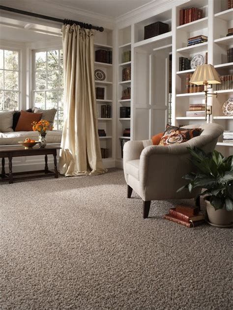 Stainmaster Carpet Idea Gallery Carpets, Rugs | Brown carpet living ...