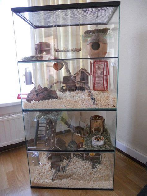 17 Cute Gerbil Cage Ideas | gerbil cages, cage, gerbil