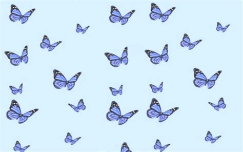 Re- Color butterflies Aesthetic phone wallpaper | Cute laptop wallpaper, Blue butterfly ...