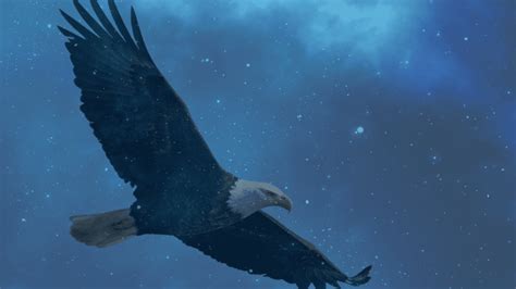 Spiritual Meaning of Eagles: Symbolism and 29 Meanings | Sodalite Minds