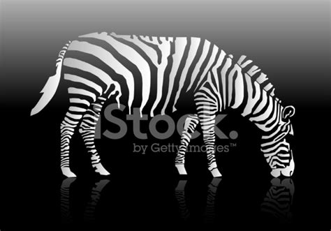 Zebra Silhouette Stock Photo | Royalty-Free | FreeImages