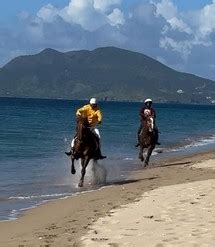 Horseracing Beach Horse Race Meet Excites Horse Race Lovers ...