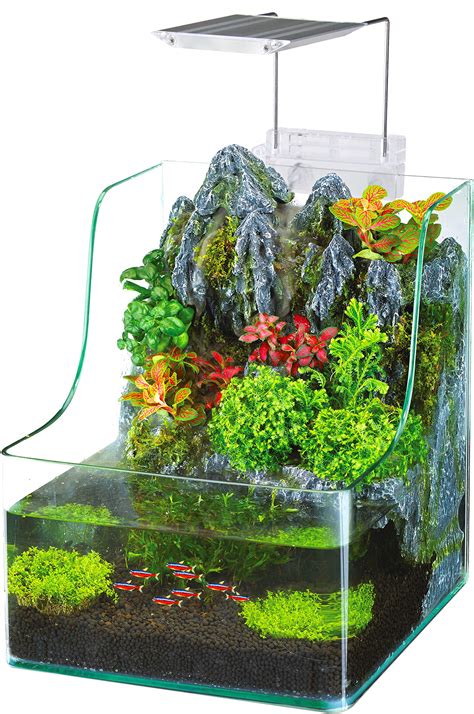 Aquarium Terrariums | ubicaciondepersonas.cdmx.gob.mx