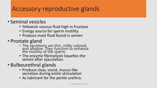 Histology of Urinary and Genital System in male &female.pptx