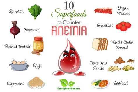 10 Super Foods to Counter Anemia | Speedy Remedies