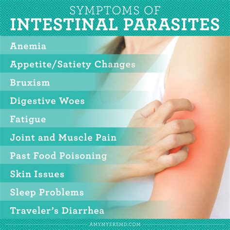 Types Of Parasitic Worms In Humans