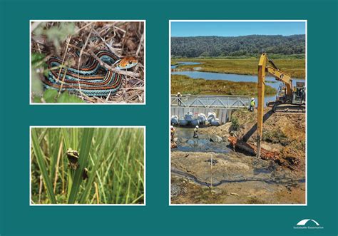 Restoration Round-Up: Butano Creek Floodplain and Streamflow ...