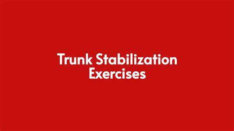 Trunk Stabilization Exercises [Core stability] - Abformer Products