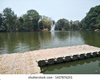 22 Patna zoo Images, Stock Photos & Vectors | Shutterstock