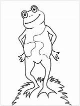 Very Simple Coloring Pages For Children frogs sketch template