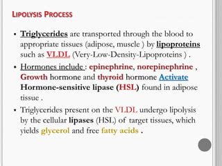 Lipolysis | PPT