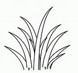 Printable Grass Coloring Pages Free For Kids And Adults sketch template