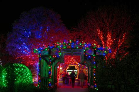 Nc Botanical Gardens Asheville Christmas Lights - Beautiful Insanity