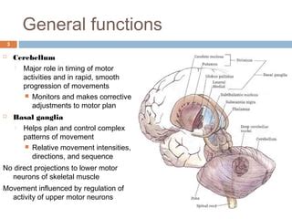 Cerebellum and basal ganglia | PPT