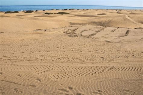 Premium Photo | Sand dune desert