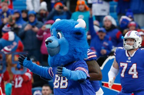 The Buffalo Bills are looking for someone to be their mascot, Billy Buffalo - Buffalo Rumblings