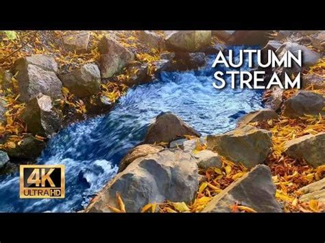 4K HDR Autumn stream. Water sounds - babbling brook, White noise for ...