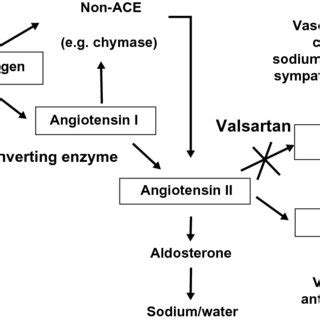 Mechanism of action of valsartan. Abbreviations: ACE, angiotensin ...