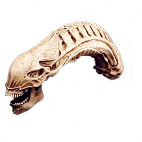 70cm Xenomorph alien skull model Halloween Decoration skeleton model giger's alien model-in ...