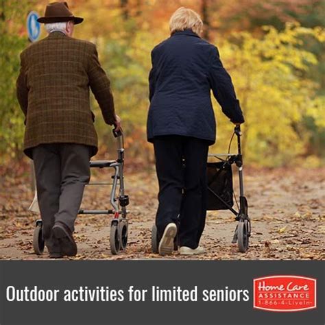 Great Outdoor Activities for Seniors with Low Mobility | Psicosocial, Aprendizaje