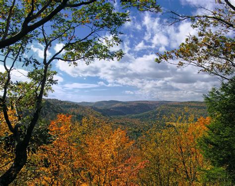 Point of View | Upper Alpine View, Loyalsock State Forest, S… | Flickr