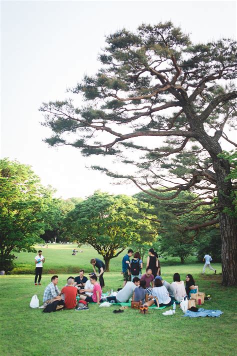 Picnic at Yoyogi Park : r/japanpics