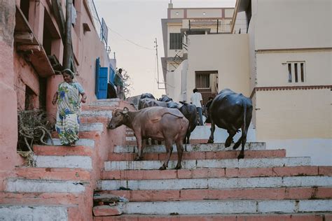 The Holy City: Varanasi on Behance