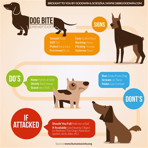 Dog Bite Prevention Infographic & Facts | Scott Goodwin Law