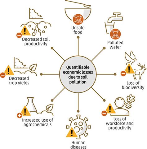 Effects Of Land Pollution On The Environment