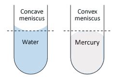 Meniscus, USGS Water Science School