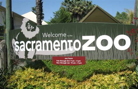 Sacramento Zoo Day Trip an Affordable Family Adventure