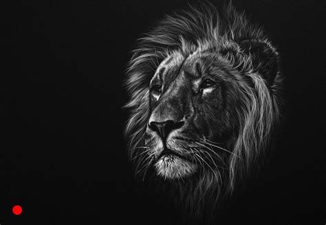 Black and white wildlife art by wildlife artist Richard Symonds | Black canvas art, Lion artwork ...