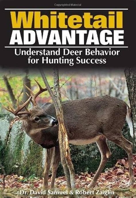 Understanding Deer Behavior for Hunting - The Deer Hunting