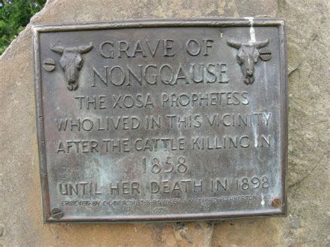 AmaXhosa ‘tricked’ into killing cattle: drive to rewrite Nongqawuse history