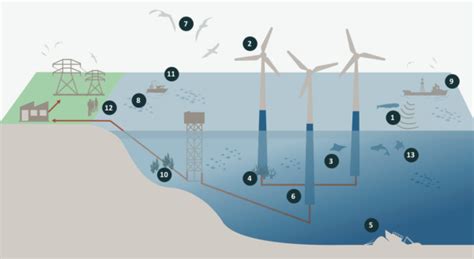 Key environmental factors for offshore windfarm environmental impact ...