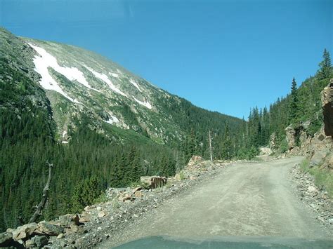 Old Fall River Road (Rocky Mountain National Park) - 2019 All You Ne… | Rocky mountain national ...