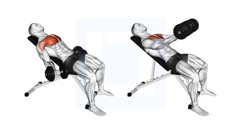 Dumbbell Incline Low Fly - Guide, Benefits, and Form